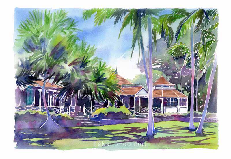 S-09 ハワイ モアナルア ガーデン 風景 水彩画 ヤシの木 手書きイラスト