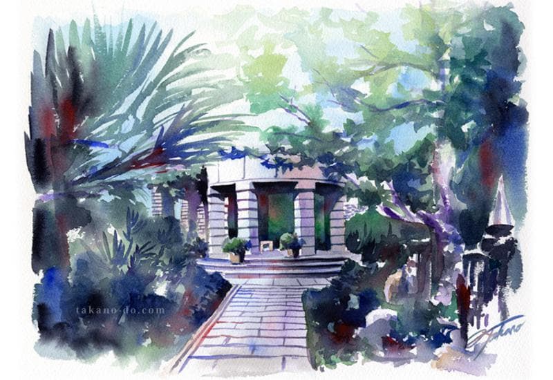 S-15 沖縄 東南植物楽園 手描きイラスト 水彩画 手書きイラスト