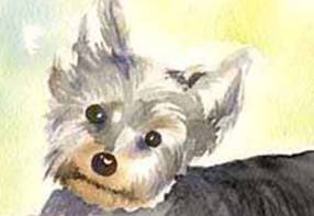 S-06 犬の肖像画 犬の絵 手書きイラスト